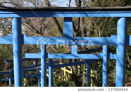 Ashikaga Orihime Shrine, where seven-colored torii gates welcome visitors. 137808443