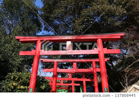 Ashikaga Orihime Shrine, where seven-colored torii gates welcome visitors. Ashikaga Orihime Shrine, where seven-colored torii gates welcome visitors. 137808445