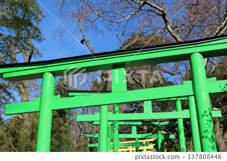 足利織姬神社，七彩鳥居迎接訪客。 137808446