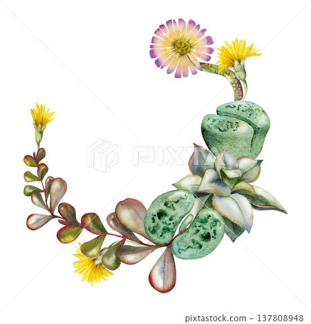 Flowering living stones, lithops succulent, kalanchoe fleshy leaves, echeveria rosette wreath. Isolated botanical frame hand drawn in watercolor. Printable wall art, nursery decor, plant shop signage. 137808948