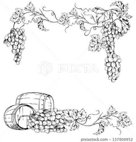 Wooden wine barrels beneath grapevine leaves with hanging grape clusters, branching shoots in border frame. Isolated ink vector illustration. Winery labels, vineyard signage, harvest festival posters Wooden wine barrels beneath grapevine leaves with hanging grape clusters, branching shoots in border frame. Isolated ink vector illustration. Winery labels, vineyard signage, harvest festival posters 137808952