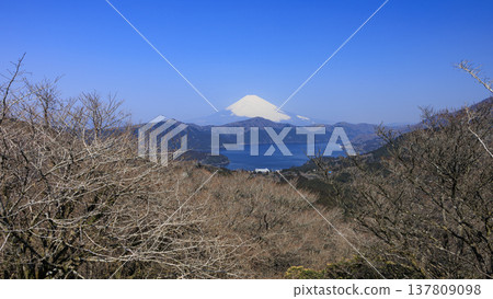 Mount Fuji and Lake Ashi as seen from Hakone Taikanzan 137809098