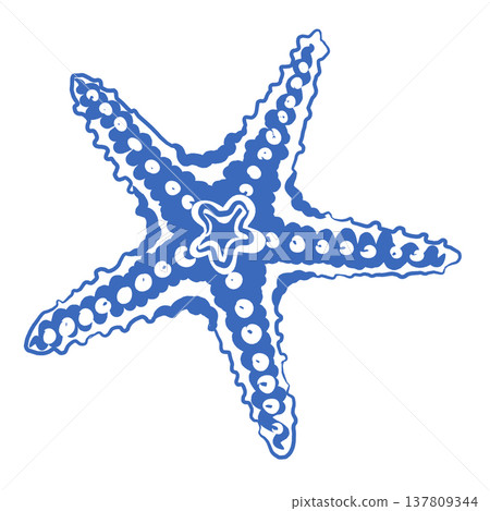 Starfish Illustration. Paper cut design. 137809344