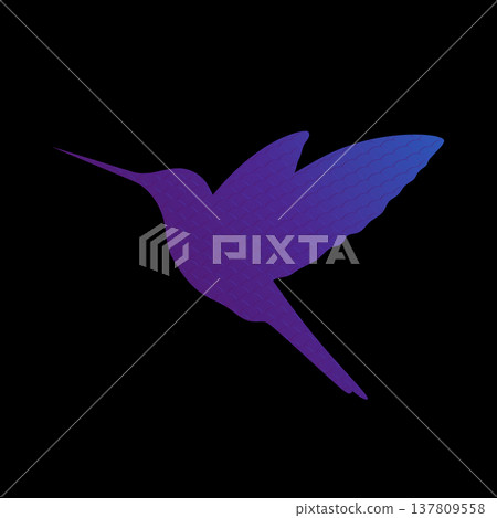 Hummingbird silhouette. Purple colibri bird silhouette decorated with wavy pattern. Vector illustration Hummingbird silhouette. Purple colibri bird silhouette decorated with wavy pattern. Vector illustration 137809558