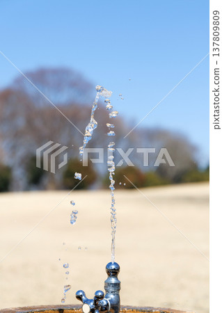 Park drinking fountain 137809809