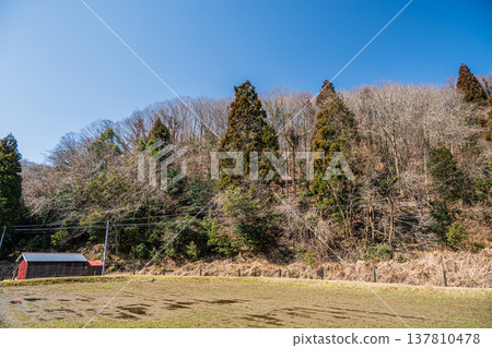 滋賀郡長濱市西淺井町琵琶湖北部的鄉村景觀 滋賀郡長濱市西淺井町琵琶湖北部的鄉村景觀 137810478