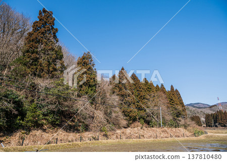 Rural landscape of the northern part of Lake Biwa, Nishi-Asai-cho, Nagahama City, Shiga Prefecture Rural landscape of the northern part of Lake Biwa, Nishi-Asai-cho, Nagahama City, Shiga Prefecture 137810480