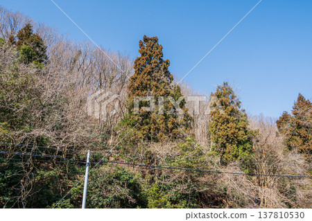 Rural landscape of the northern Lake Biwa, Omi-Shiotsu, Nagahama City, Shiga Prefecture Rural landscape of the northern Lake Biwa, Omi-Shiotsu, Nagahama City, Shiga Prefecture 137810530