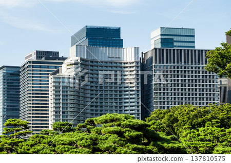 View of the many pine trees around the Kokyo Gaien gardens, with the Marunouchi Modern office building background in Chiyoda, Tokyo, Japan. View of the many pine trees around the Kokyo Gaien gardens, with the Marunouchi Modern office building background in Chiyoda, Tokyo, Japan. 137810575