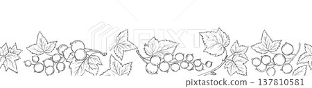 Currant Berry. Outline Botanical Seamless Border. Line Berry on White Background. Vector Horizontal illustration. Not AI Currant Berry. Outline Botanical Seamless Border. Line Berry on White Background. Vector Horizontal illustration. Not AI 137810581
