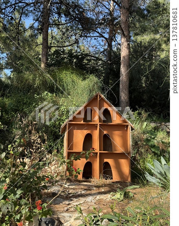 Wooden birdhouse in sunny garden surrounded by lush greenery and colorful flowers 137810681