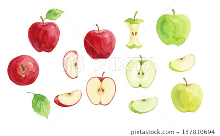 Watercolor-style illustration of apples and green apples Watercolor-style illustration of apples and green apples 137810694