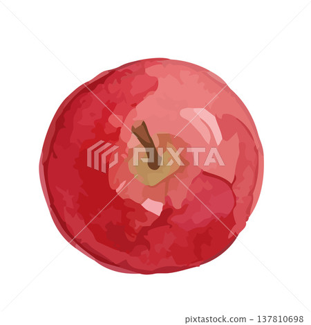 水彩風格的蘋果和青蘋果插圖 水彩風格的蘋果和青蘋果插圖 137810698