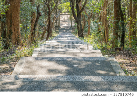 Okayama Prefecture (March) [Tourist Spot] Ushimado Shrine: Walk along the approach road that stretches from the Seto Inland Sea; a shrine quietly nestled in a wooded area. 137810746