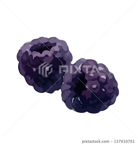 Watercolor-style illustration of a blackberry 137810781