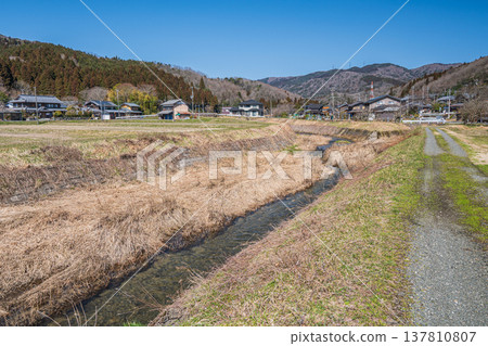 大川清澈的溪流流經滋賀縣長濱市近江鹽津市奧琵琶湖鄉。 大川清澈的溪流流經滋賀縣長濱市近江鹽津市奧琵琶湖鄉。 137810807