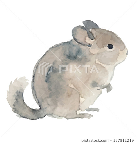 水彩風格的龍貓插畫 水彩風格的龍貓插畫 137811219