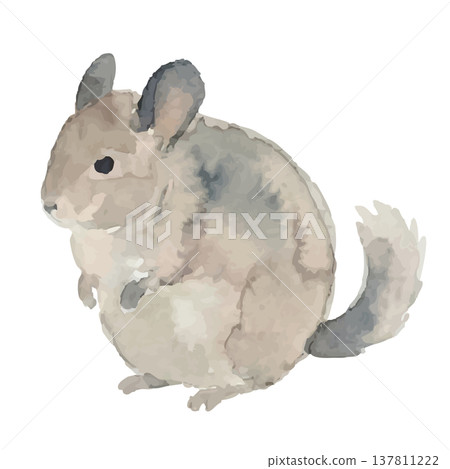 水彩風格的龍貓插畫 137811222
