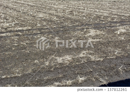 Rice field soil making Rice field soil making 137812261