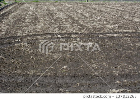 Rice field soil making Rice field soil making 137812263