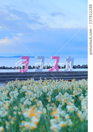 野生海岸黃水仙路 野生海岸黃水仙路 137812288