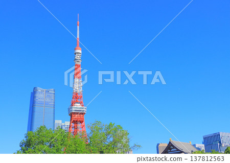 Tokyo Tower and fresh greenery in Minato-ku, Tokyo 137812563