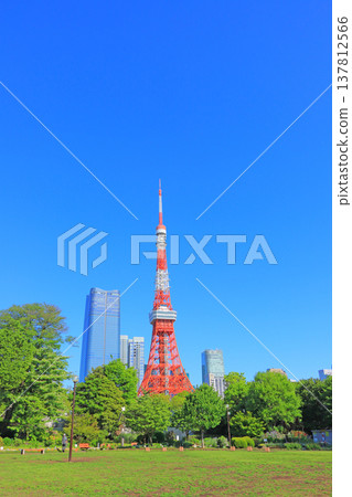 Tokyo Tower and fresh greenery in Minato-ku, Tokyo Tokyo Tower and fresh greenery in Minato-ku, Tokyo 137812566