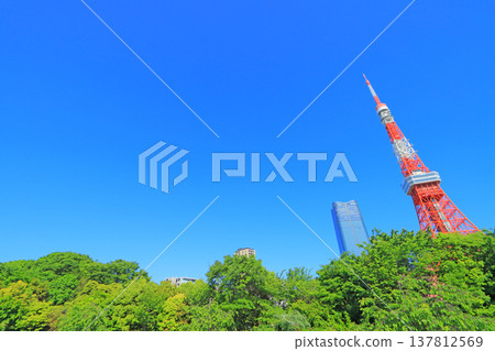 東京鐵塔和東京港區的新鮮綠地 東京鐵塔和東京港區的新鮮綠地 137812569
