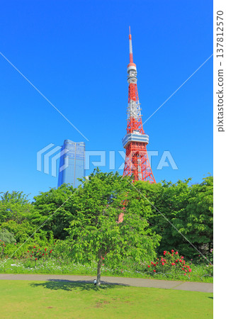 東京鐵塔和東京港區的新鮮綠地 東京鐵塔和東京港區的新鮮綠地 137812570
