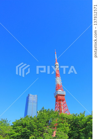 東京鐵塔和東京港區的新鮮綠地 東京鐵塔和東京港區的新鮮綠地 137812571