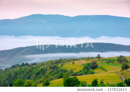 mountainous rural area of transcarpathia during springtime. remote mountain landscape with forested rolling hills. foggy morning in wonderful place of alpine countryside wallpaper 137812613