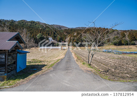 滋賀縣長濱市琵琶湖西阿西町的田園風光 滋賀縣長濱市琵琶湖西阿西町的田園風光 137812954