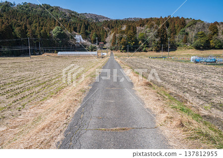 Rural scenery of Nishiasaimachi, Lake Biwa, Nagahama City, Shiga Prefecture 137812955
