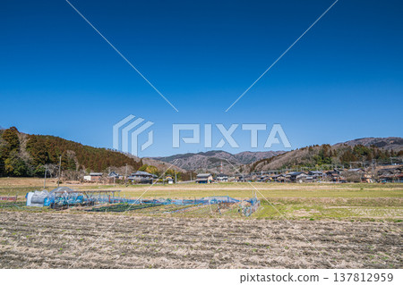 滋賀縣長濱市琵琶湖西阿西町的田園風光 滋賀縣長濱市琵琶湖西阿西町的田園風光 137812959