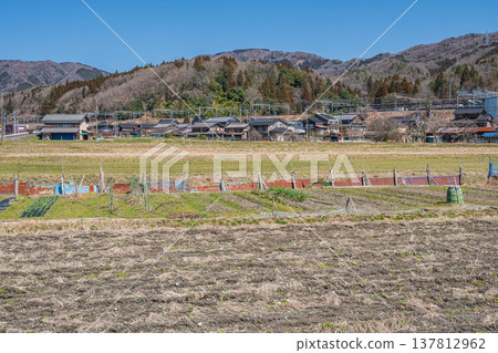 Rural scenery of Nishiasaimachi, Lake Biwa, Nagahama City, Shiga Prefecture 137812962