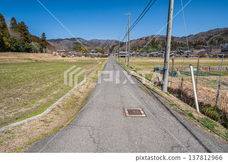 滋賀縣長濱市琵琶湖西阿西町的田園風光 137812966