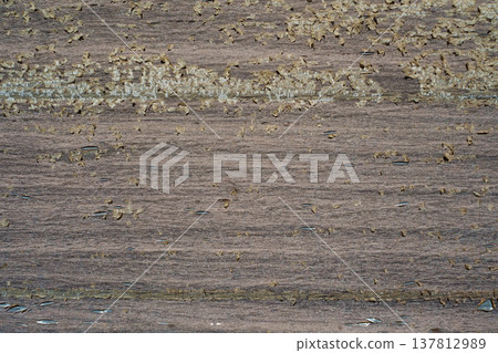 A horizontal close-up shot of a dark wood surface with old, cracked varnish peeling off in small flakes due to weather exposure. A horizontal close-up shot of a dark wood surface with old, cracked varnish peeling off in small flakes due to weather exposure. 137812989