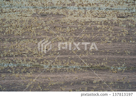 A horizontal close-up shot of a dark wood surface with old, cracked varnish peeling off in small flakes due to weather exposure. A horizontal close-up shot of a dark wood surface with old, cracked varnish peeling off in small flakes due to weather exposure. 137813197