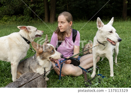 Professional dog walker young woman with pack of dogs is sitting on grass and enjoying walk animals. Professional dog walker young woman with pack of dogs is sitting on grass and enjoying walk animals. 137813329