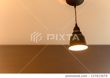 懸掛在天花板上的復古照明燈具 137813679