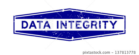 Grunge blue data integrity word hexagon rubber seal stamp on white background Grunge blue data integrity word hexagon rubber seal stamp on white background 137813778