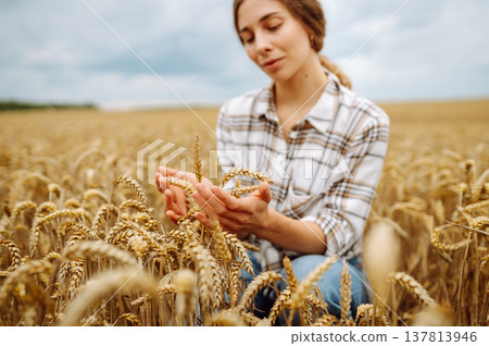 A woman agronomist studies the golden harvest of wheat on an agricultural field. Agriculture. 137813946