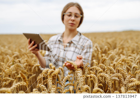 Woman agronomist in a field with a tablet checks the growth of the crop. New harvest concept. Woman agronomist in a field with a tablet checks the growth of the crop. New harvest concept. 137813947