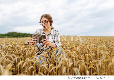 Woman agronomist in a field with a tablet checks the growth of the crop. New harvest concept. 137813948