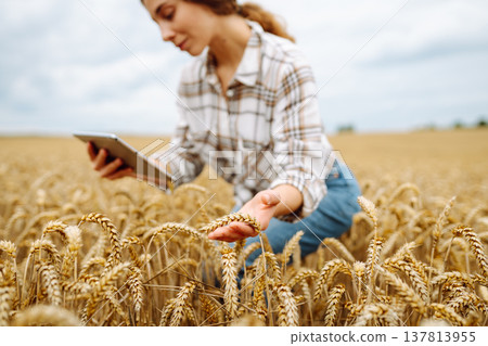 Woman agronomist in a field with a tablet checks the growth of the crop. New harvest concept. Woman agronomist in a field with a tablet checks the growth of the crop. New harvest concept. 137813955