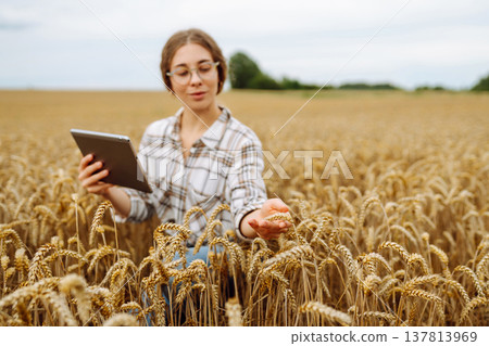 Woman agronomist in a field with a tablet checks the growth of the crop. New harvest concept. Woman agronomist in a field with a tablet checks the growth of the crop. New harvest concept. 137813969