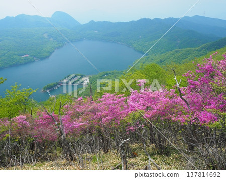 Akagi Onuma and azaleas in early summer Akagi Onuma and azaleas in early summer 137814692