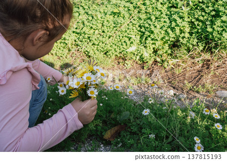 little girl sitting in a meadow picking wildflowers: carefree summer childhood activity little girl sitting in a meadow picking wildflowers: carefree summer childhood activity 137815193
