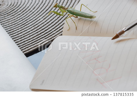 Travel journal: praying mantis walks past the handwritten word travel and a pen Travel journal: praying mantis walks past the handwritten word travel and a pen 137815335
