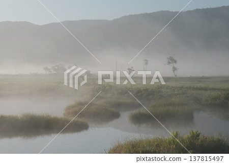 清晨的薄霧在晨曦中閃爍著潔白的光芒,高海拔濕地的池塘在清晨顯得格外寧靜。 清晨的薄霧在晨曦中閃爍著潔白的光芒,高海拔濕地的池塘在清晨顯得格外寧靜。 137815497